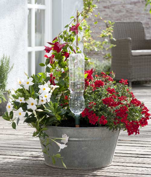 Blumat bottle zalivanje za sobno cvece